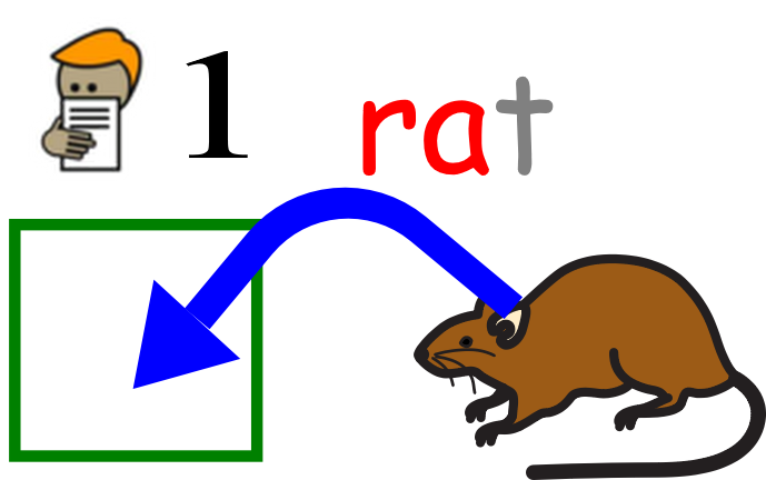 rat 1