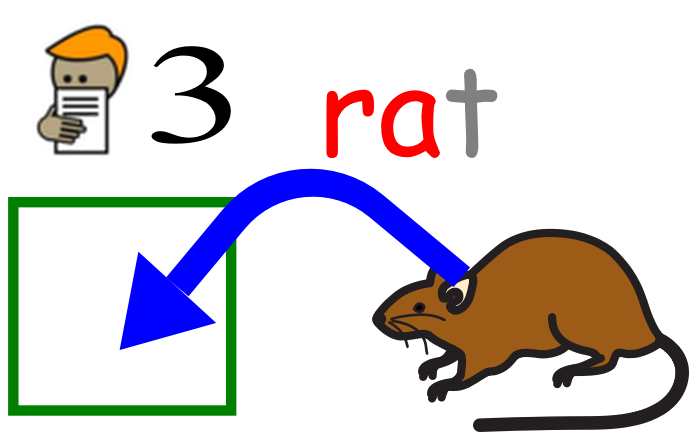 rat 3