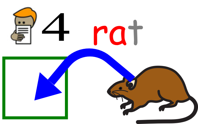 rat 4