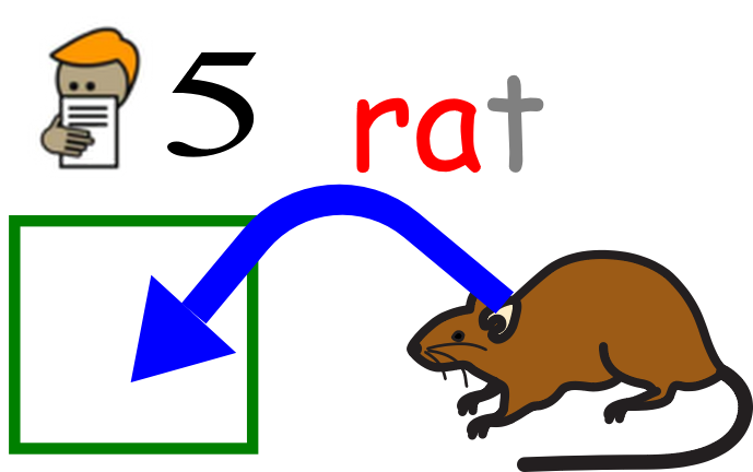 rat 5